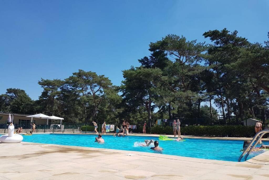 CasitaCuriosa  chalet op camping met buitenzwembad Balen Bagian luar foto